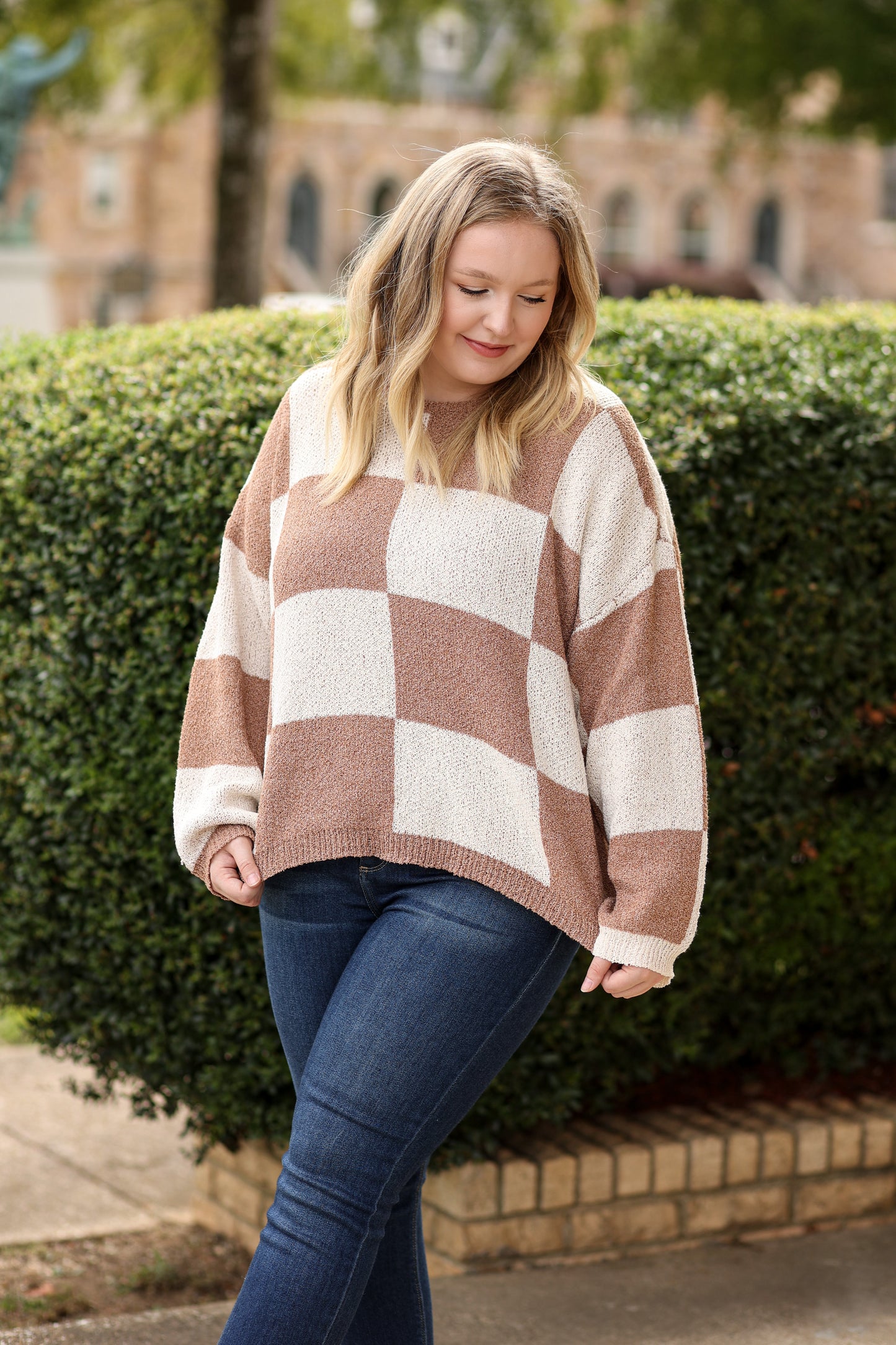 Checkered Knit Sweater (Brown)
