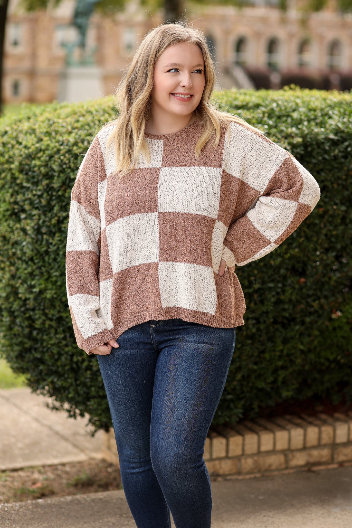 Checkered Knit Sweater (Brown)