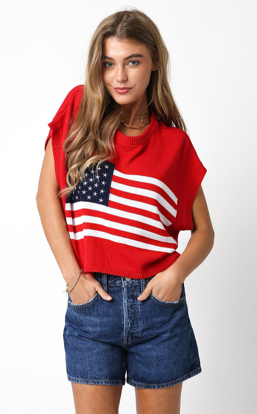 American Flag Knit Sweater