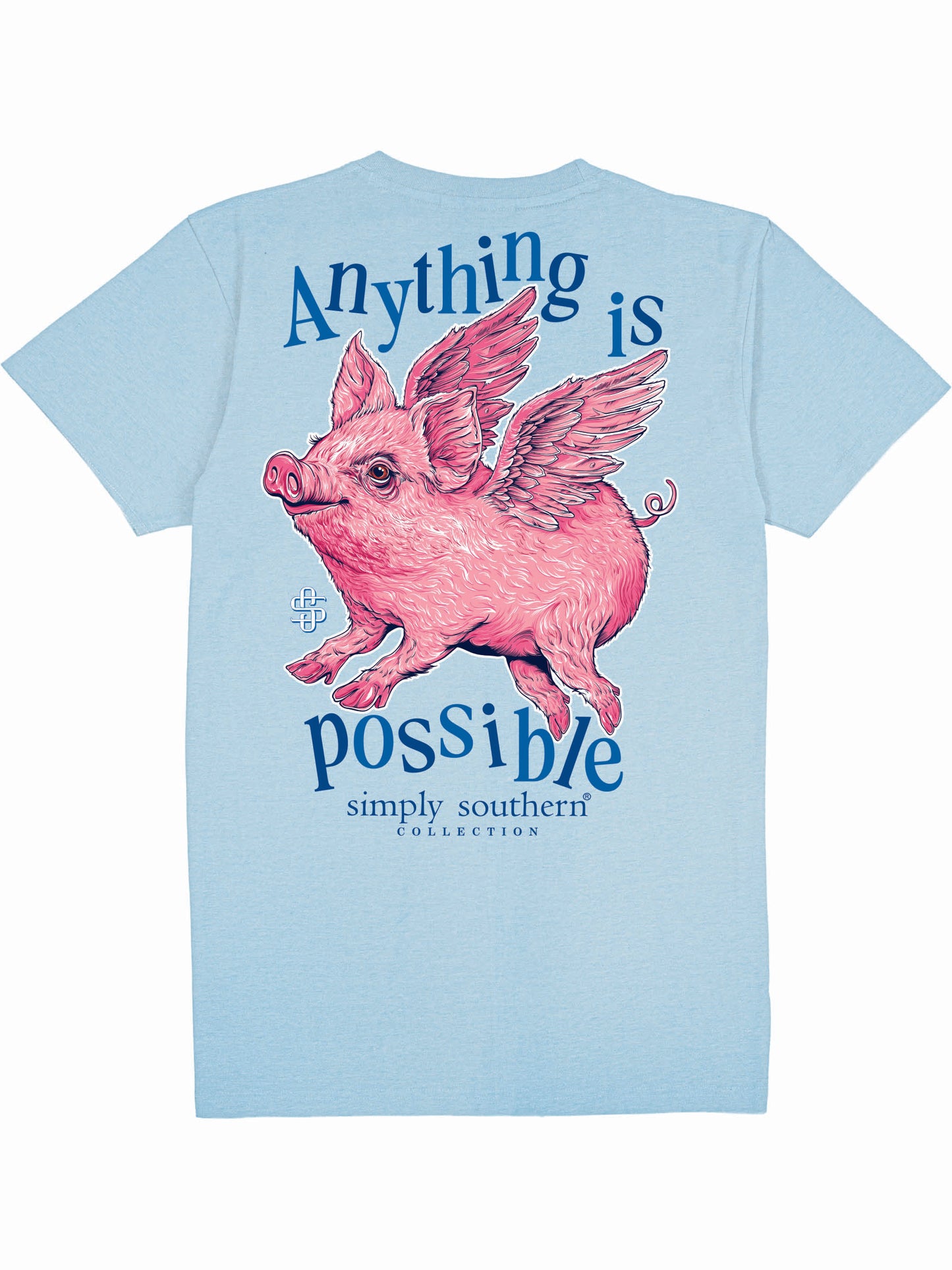 Ladies' Simply Southern Anything Is Possible S/S Tee (Ice Blue)