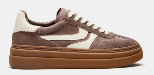 Steve Madden Dodge Espresso Low Top Sneaker (Taupe Multi)