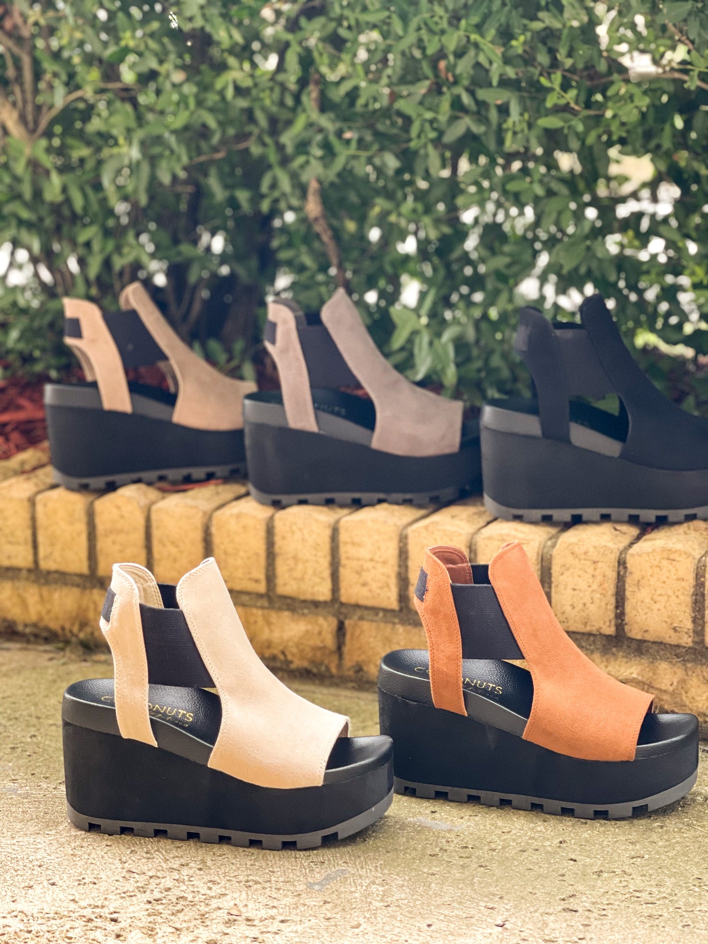 Matisse Ada Wedge