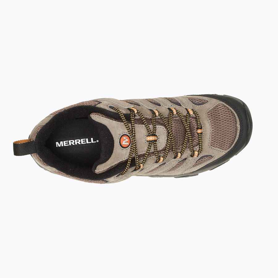 Men's Merrell Moab 3 (Walnut) Shoes