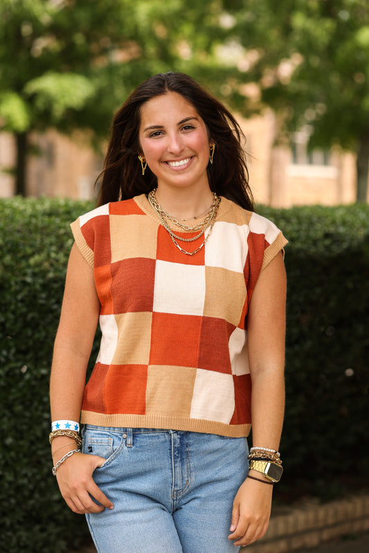 Erin Colorblock Top (Brown Multi)