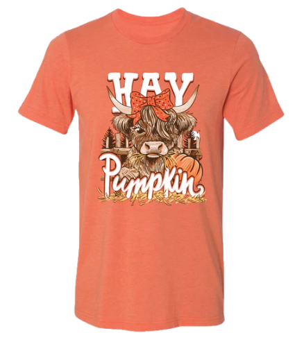 Girlie Girl Hay Pumpkin S/S (Heather Orange)