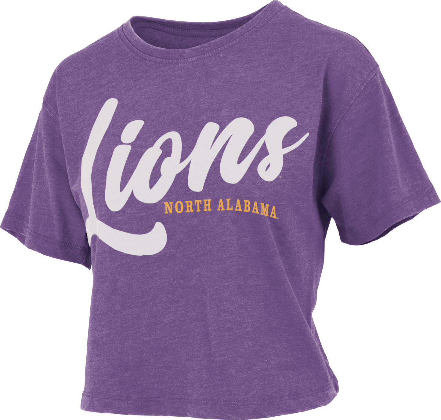Royce Apparel Lions North Alabama Vintage Waist Length Hometeam (Purple)