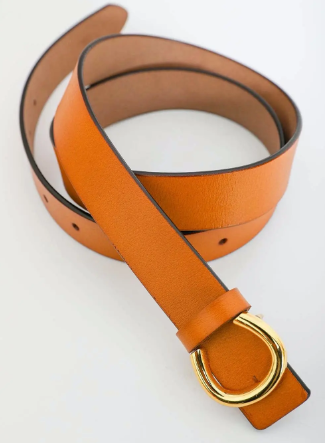 Minimalist Gold Horseshoe Belt