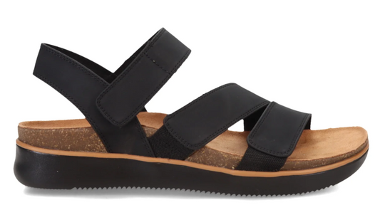 Women's Skechers Lifted Comfort Sandal (Black)