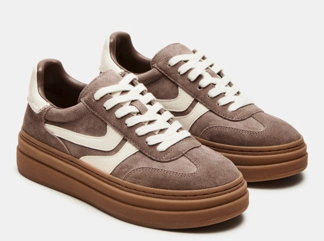 Steve Madden Dodge Espresso Low Top Sneaker (Taupe Multi)