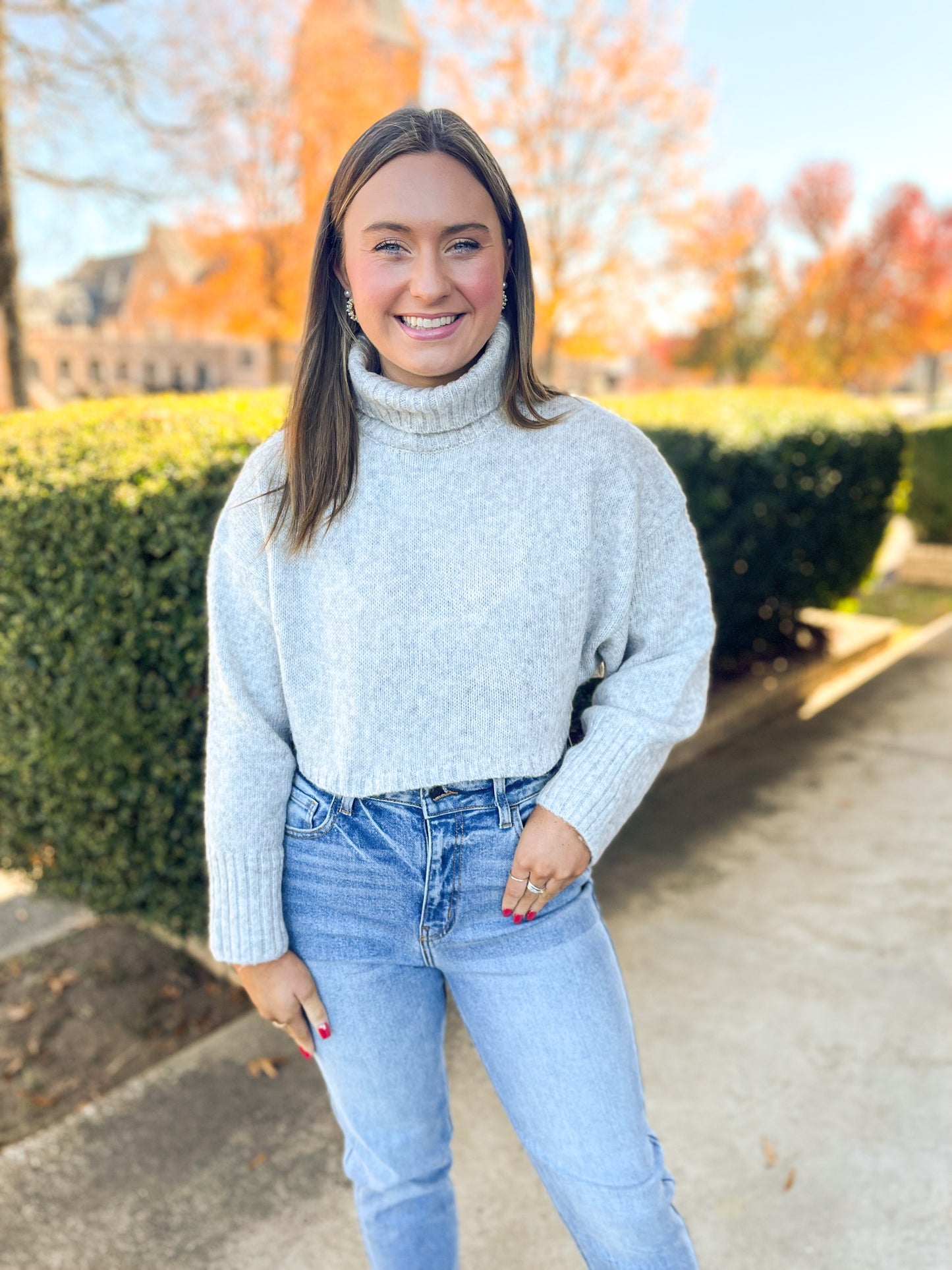 Cropped Turtle Neck Sweater